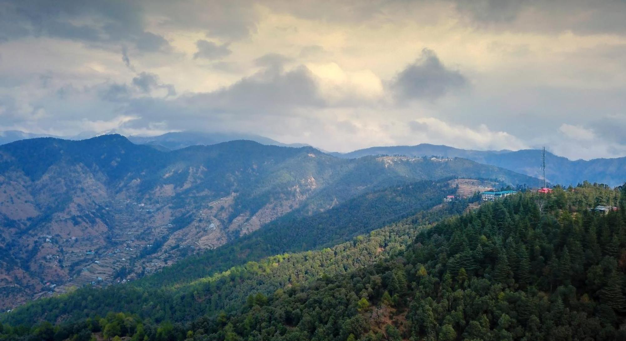Treehouse Chail Villas Exterior photo