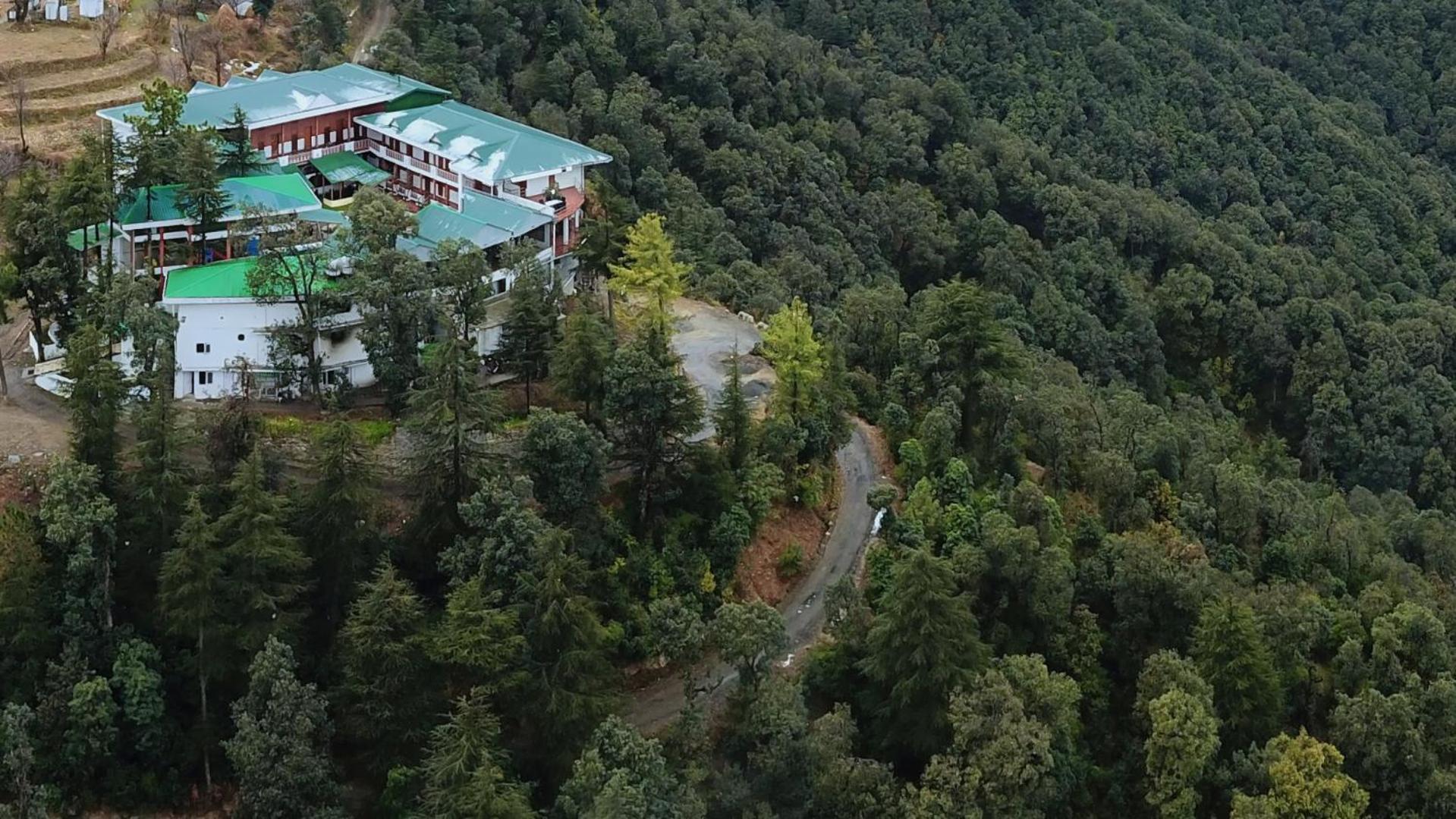 Treehouse Chail Villas Exterior photo